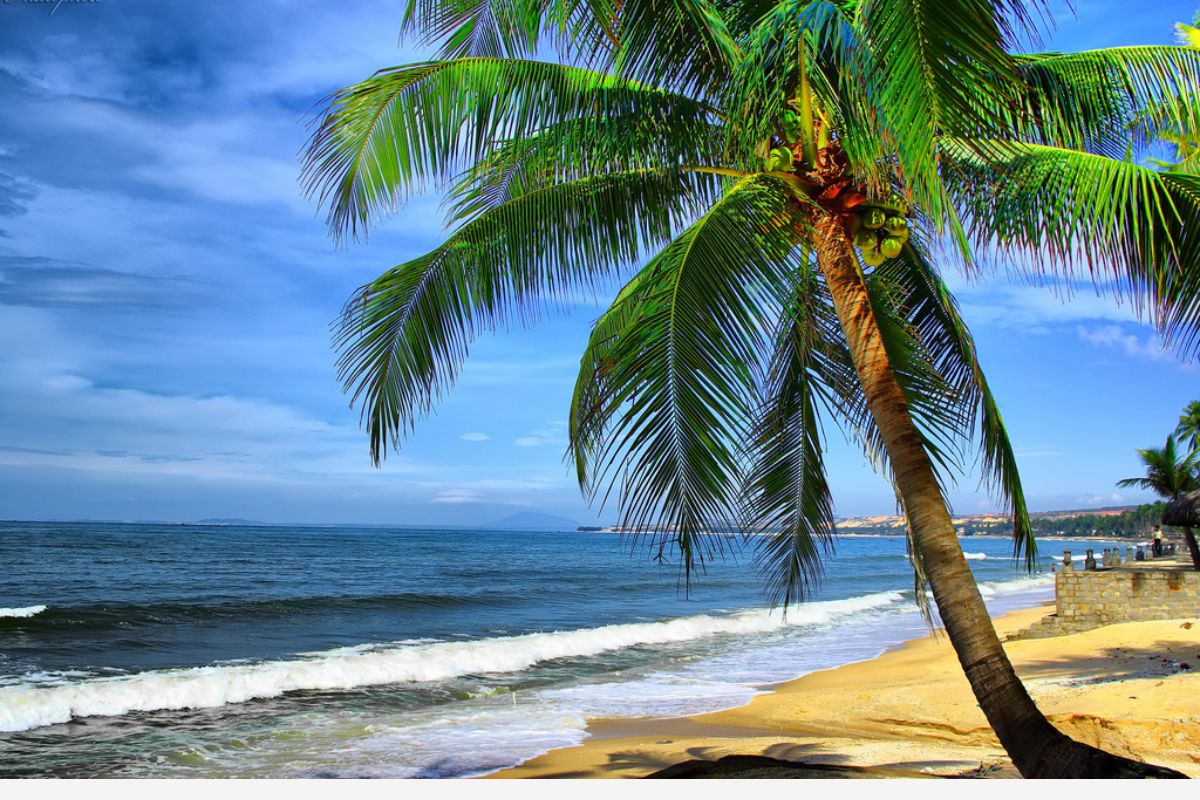 bãi biển đẹp nhất Việt Nam