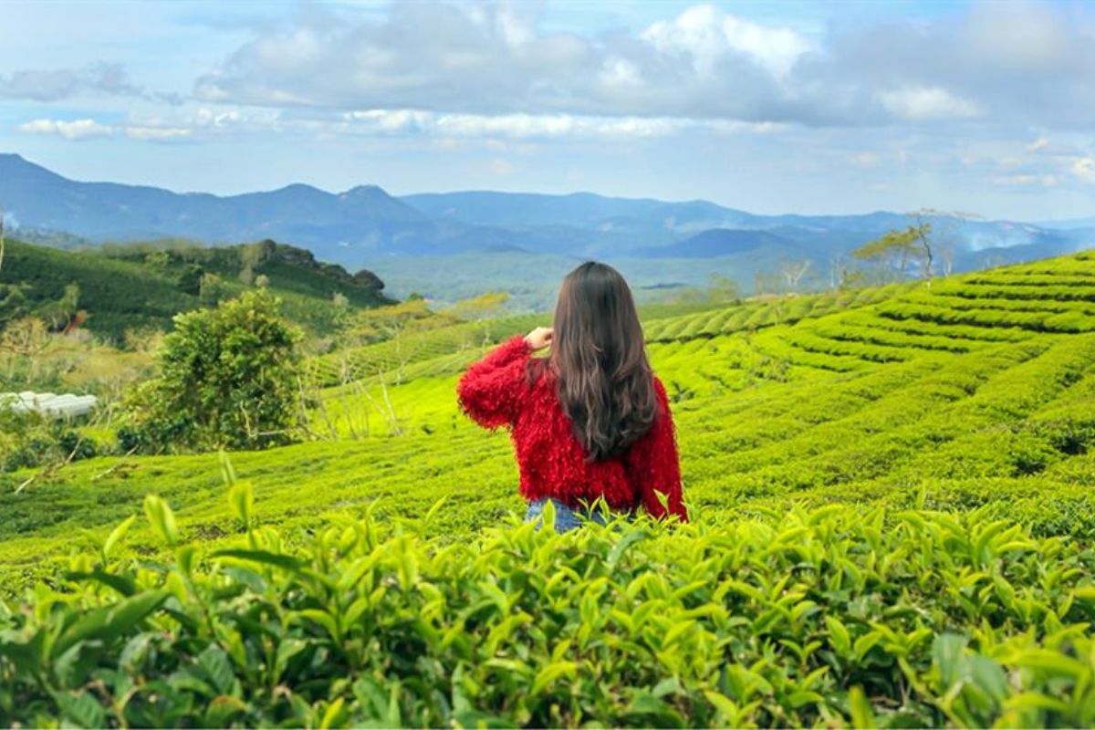 địa điểm sống ảo Đà Lạt