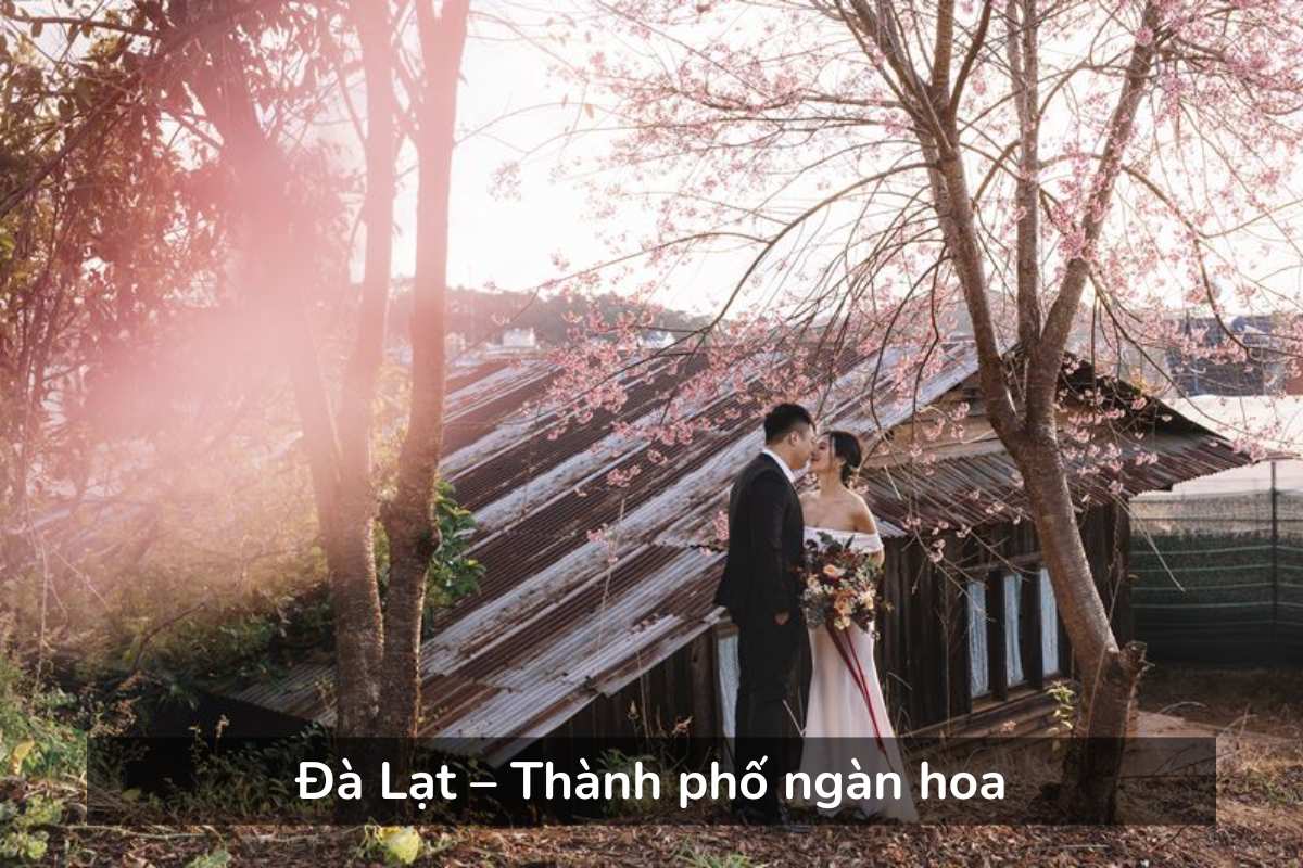 Đà Lạt - tổ chức lễ cưới thơ mộng