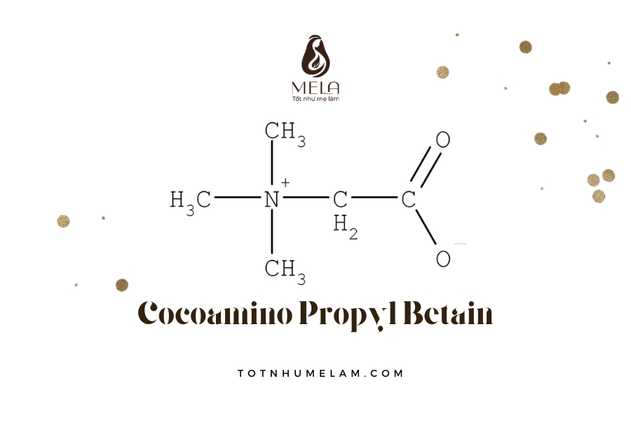 Cocoamino Propyl Betain