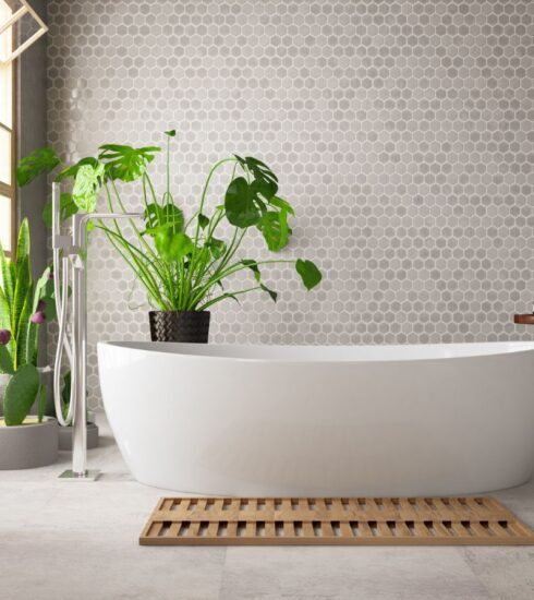 Thiết bị vệ sinh Palado VN