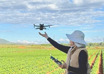 PepsiCo đồng hành cùng nông dân phát triển vùng nguyên liệu bền vững