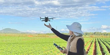 PepsiCo đồng hành cùng nông dân phát triển vùng nguyên liệu bền vững