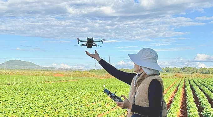 PepsiCo đồng hành cùng nông dân phát triển vùng nguyên liệu bền vững