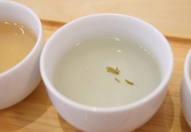 Các Loại Bạch Trà Các Loại Bạch Trà