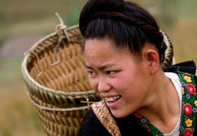Chè Suối Giàng – Cuộc Sống Trên Đỉnh Thủy Tổ Loài Chè