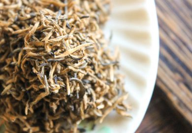 HƯƠng VỊ TrÀ – NỔi DẬy ChỐng LẠi SỰ ChuyÊn ChẾ CỦa NÓ HƯƠng VỊ TrÀ – NỔi DẬy ChỐng LẠi SỰ ChuyÊn ChẾ CỦa NÓ