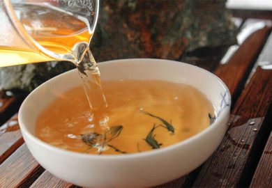 NẾm TrÀ – ChÚng Ta LÀm NhƯ ThẾ NÀo LÀ ĐÚng CÁch NẾm TrÀ – ChÚng Ta LÀm NhƯ ThẾ NÀo LÀ ĐÚng CÁch