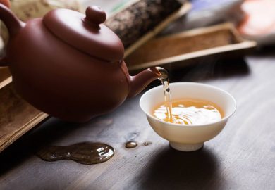 Tại Sao Những Người Nghiện Trà Lại Phát Cuồng Vì Trà Phổ Nhĩ Tại Sao Những Người Nghiện Trà Lại Phát Cuồng Vì Trà Phổ Nhĩ