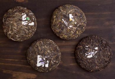 Tại Sao Những Người Nghiện Trà Lại Phát Cuồng Vì Trà Phổ Nhĩ Tại Sao Những Người Nghiện Trà Lại Phát Cuồng Vì Trà Phổ Nhĩ