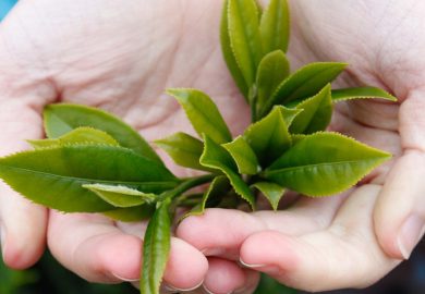 ThuẬt NgỮ TrÀ CƠ BẢn VÀ CÁch PhÁt Âm ChÚng ThuẬt NgỮ TrÀ CƠ BẢn VÀ CÁch PhÁt Âm ChÚng