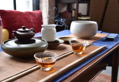 TrÀ Linh Chi Trong ThỜi HiỆn ĐẠi NgÀy Nay TrÀ Linh Chi Trong ThỜi HiỆn ĐẠi NgÀy Nay