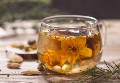 Tìm Hiểu Trà Nhài Là Gì? Tìm Hiểu Trà Nhài Là Gì?