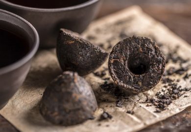 Trà Phổ Nhĩ: Lợi ích, Liều Lượng, Tác Dụng Phụ Và Những điều Khác Cẩn Biết Trà Phổ Nhĩ: Lợi ích, Liều Lượng, Tác Dụng Phụ Và Những điều Khác Cẩn Biết