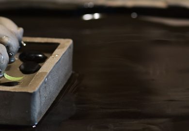 Ý Nghĩa Ngụ ý Của “thú Cưng Trà” Ý Nghĩa Ngụ ý Của “thú Cưng Trà”