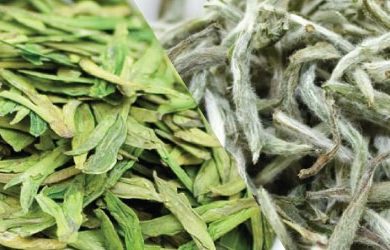 Sự Khác Biệt Giữa Trà Trắng Và Trà Xanh : Điểm Khác Nhau Mà Bạn Nên Biết