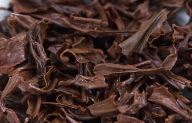 Trà Assam Là Gì? Những điều Thú Vị Mà Ta Chưa Biết Về Loại Trà Này