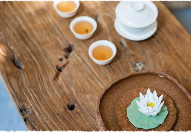 “thÚ CƯng TrÀ” VÀ BÍ MẬt Xung Quanh NÓ “thÚ CƯng TrÀ” VÀ BÍ MẬt Xung Quanh NÓ