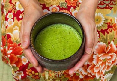 TrÀ ĐẠo Chaji – BuỔi TiỆc TrÀ Trang TrỌng TrÀ ĐẠo Chaji – BuỔi TiỆc TrÀ Trang TrỌng