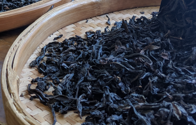 TrÀ ĐẠi HỒng BÀo LÀ GÌ VÀ NhỮng ĐiỀu ChÚng Ta ChƯa BiẾt