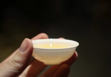 Ủ TrÀ Theo Phong CÁch Gongfu LÀ NhƯ ThẾ NÀo ? Ủ TrÀ Theo Phong CÁch Gongfu LÀ NhƯ ThẾ NÀo ?