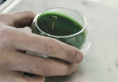 Trà Matcha Và 10 Sự Thật Ngạc Nhiên Mà Có Thể Bạn Chưa Biết