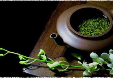 Ấm Tử Sa Và Cách Lựa Chọn Riêng đối Với Từng Loại Trà Ấm Tử Sa Và Cách Lựa Chọn Riêng đối Với Từng Loại Trà