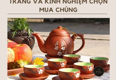 Bộ ấm Chén Uống Trà Bát Tràng: Tìm Hiểu Kinh Nghiệm Chọn Mua. Bộ ấm Chén Uống Trà Bát Tràng: Tìm Hiểu Kinh Nghiệm Chọn Mua.