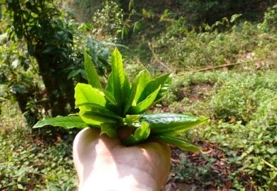 Du Lịch ở Vân Nam Là Chuyến đi Tuyệt Vời Của Chúng Tôi