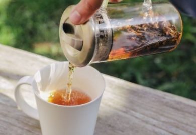 Nguồn Gốc Trà ảnh Hưởng Như Thế Nào đến Chất Lượng Của Nó? Nguồn Gốc Trà ảnh Hưởng Như Thế Nào đến Chất Lượng Của Nó?