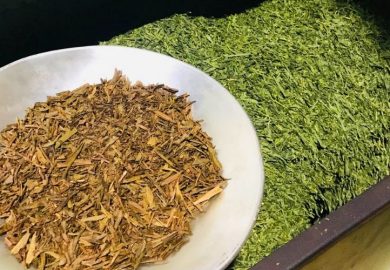Sản Xuất Trà Hojicha đúng Chuẩn Vị Từ Người Nông Dân Trồng Trà Sản Xuất Trà Hojicha đúng Chuẩn Vị Từ Người Nông Dân Trồng Trà