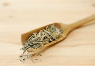 Trà Thảo Mộc Lá Rời Và Lí Do Nó được đánh Giá Tốt Hơn Các Loại Khác Trà Thảo Mộc Lá Rời Và Lí Do Nó được đánh Giá Tốt Hơn Các Loại Khác