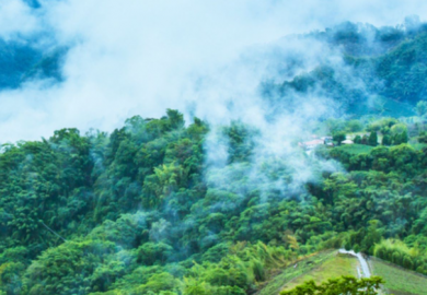 Trà Vân Nam: Địa Phương Trồng Trà Nổi Tiếng Của Trung Quốc Trà Vân Nam: Địa Phương Trồng Trà Nổi Tiếng Của Trung Quốc