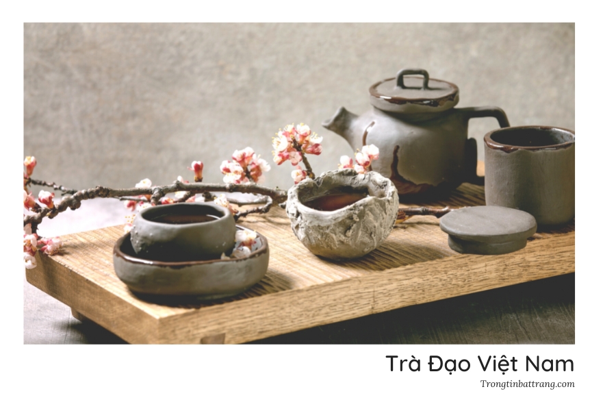 Trà đạo: Phân biệt Trà Đạo Việt Nam - Trà Đạo Nhật Bản - Trà Đạo Trung Quốc và Trà Đạo Hàn Quốc