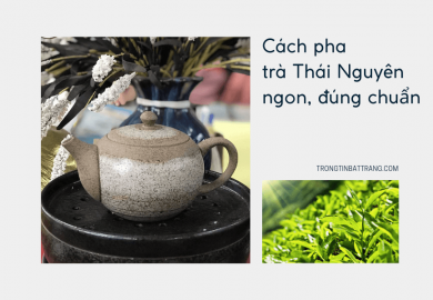 Cách pha trà Thái Nguyên ngon, đúng chuẩn Cách pha trà Thái Nguyên ngon, đúng chuẩn