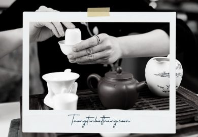 Trà đạo - Hướng dẫn cách pha trà - THUMB