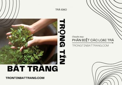 Trà đạo - Tìm hiểu thêm về các loại trà - THUMB