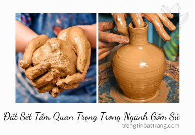 dat-set-la-gi-tam-quan-trong-cua-dat-set (1) dat-set-la-gi-tam-quan-trong-cua-dat-set (1)