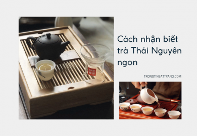 Trọng Tín Bát Tràng- Cách nhận biết trà Thái Nguyên ngon