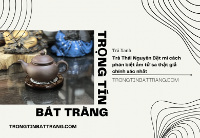 Trọng Tín Bát Tràng-Trà Thái Nguyên Bật mí cách phân biệt ấm tử sa thật giả chính xác nhất Trọng Tín Bát Tràng-Trà Thái Nguyên Bật mí cách phân biệt ấm tử sa thật giả chính xác nhất