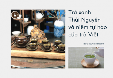Trọng Tín Bát Tràng- Trà xanh Thái Nguyên và niềm tự hào của trà Việt