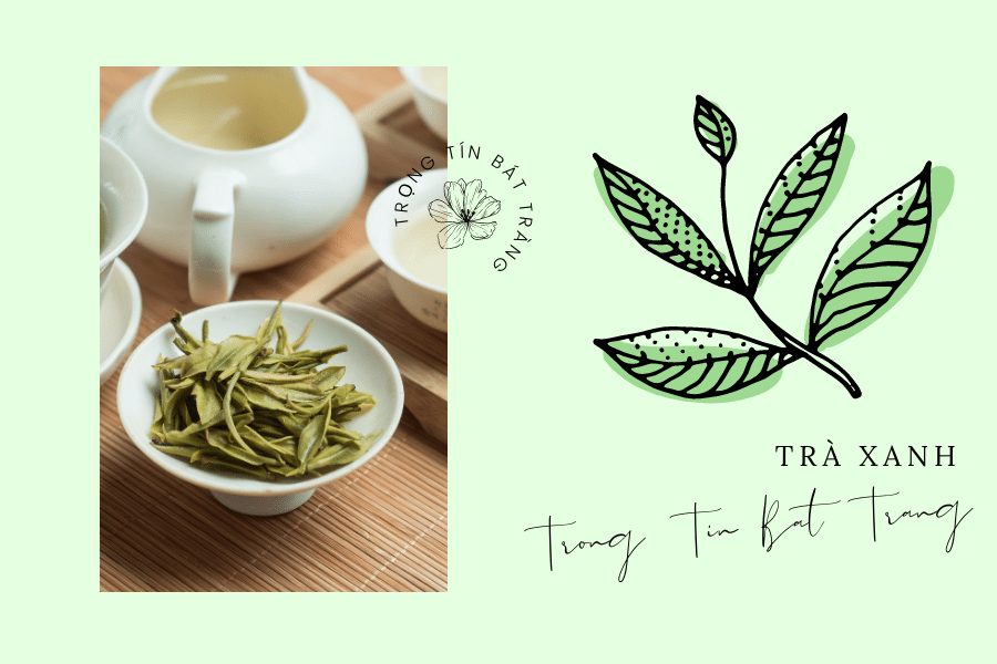 Trọng Tín Bát Tràng- Cách phân biệt và lựa chọn trà Thái Nguyên chất lượng cao 