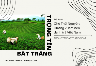 Trọng Tín Bát Tràng- Chè Thái Nguyên – Hương vị làm nên danh trà Việt Nam