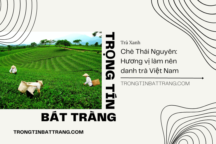 Trọng Tín Bát Tràng- Chè Thái Nguyên – Hương vị làm nên danh trà Việt Nam