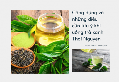 Trọng Tín Bát Tràng- Công dụng và những điều cần lưu ý khi uống trà xanh Thái Nguyên