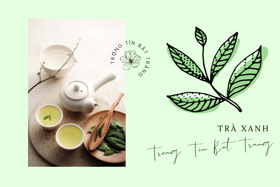 Trọng Tín Bát Tràng- Hướng dẫn cách pha trà thái nguyên ngon để thưởng trà đúng vị