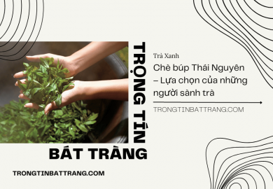 Trọng Tín Bát Tràng- Chè búp Thái Nguyên – Lựa chọn của những người sành trà Trọng Tín Bát Tràng- Chè búp Thái Nguyên – Lựa chọn của những người sành trà