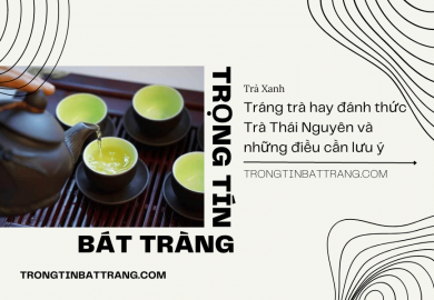 Trọng Tín Bát Tràng- Tráng trà hay đánh thức Trà Thái Nguyên và những điều cần lưu ý Trọng Tín Bát Tràng- Tráng trà hay đánh thức Trà Thái Nguyên và những điều cần lưu ý