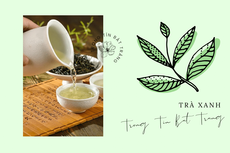 Tổng quan thông tin về trà mạn 2