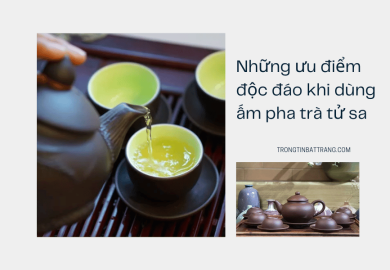 Những ưu điểm độc đáo khi dùng ấm pha trà tử sa Những ưu điểm độc đáo khi dùng ấm pha trà tử sa